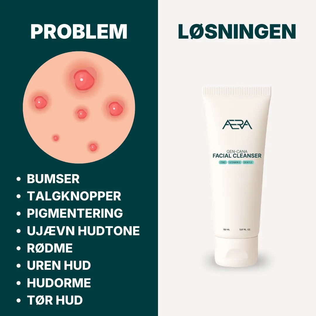 Her ses alle de mange hudproblemer, som ansigtsrensen fra ÆRA Care er effektiv mod. Heriblandt bumser, talgknopper, pigmentering, ujævn hudtone, rødme, uren hud, hudorme og tør hud.