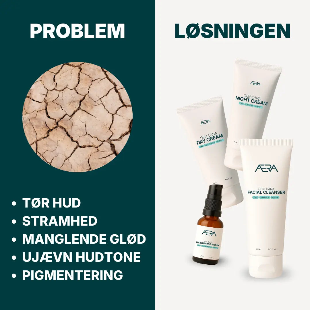 Her ses alle de problemer som ansigtspakken til normal til tør hud fra ÆRA Care forsøger at løse. Herunder tør hud, stramhed, manglende glød, ujævn hudtone og pigmentering.